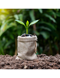 Formation AMF Finance durable